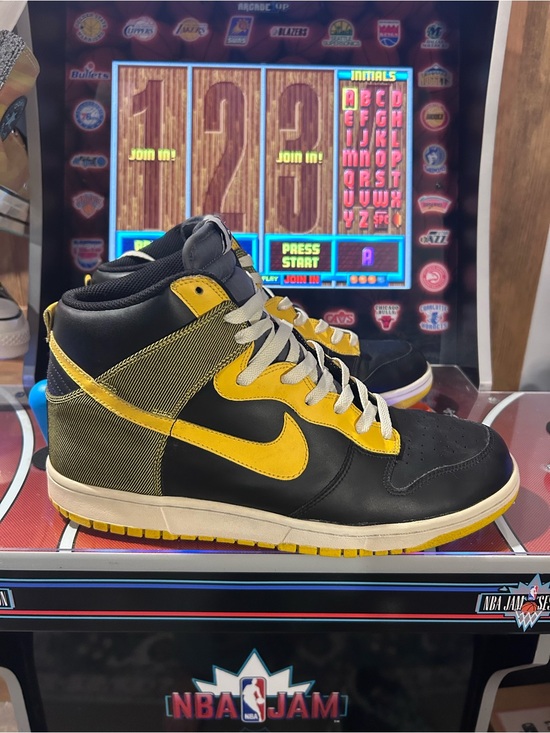 Nike Other - Nike Dunks North